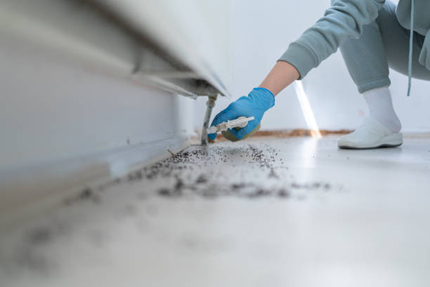 Pest Control for Restaurants in Hampden Sydney, VA